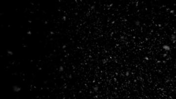 Falling Snow Isolated On A Black Background video