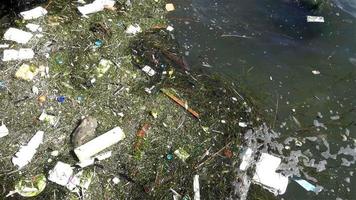 Plastic Litter on the water video