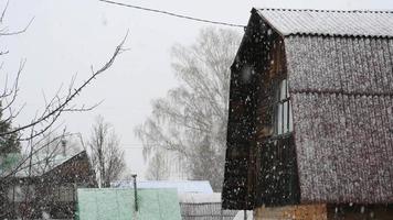 Winter snow fall video