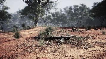 Kimberley region of Western Australia video