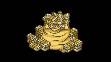 Money Bag Animation Alpha video
